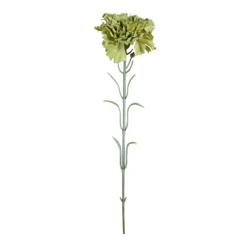 Karafiát – vetvička 53 cm green GK700